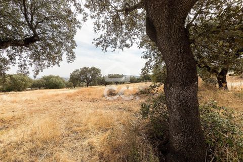 Farm i Elvas, Portalegre, Elvas - € 750.000 | Ref: 318/Q/03672 - foto 39