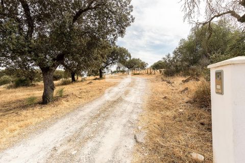 Farm i Elvas, Portalegre, Elvas - € 750.000 | Ref: 318/Q/03672 - foto 40