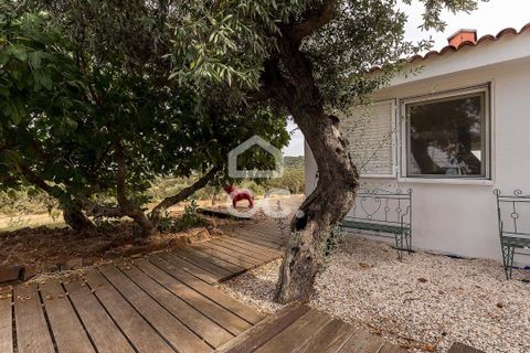Farm i Elvas, Portalegre, Elvas - € 750.000 | Ref: 318/Q/03672 - foto 44