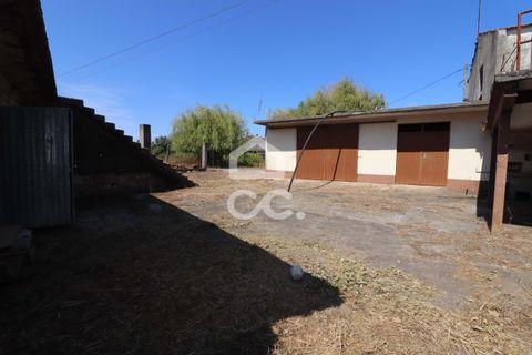 Villa a Ansiao, Leiria, Ansiao - € 60.000 | Ref: 385/M/00921 - foto 14