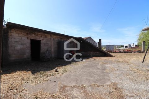 Villa a Ansiao, Leiria, Ansiao - € 60.000 | Ref: 385/M/00921 - foto 15