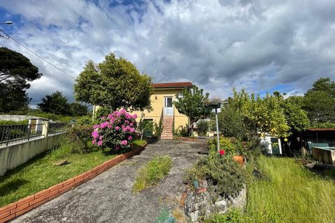 Villa i Arcos de Valdevez, Viana do Castelo, Arcos de Valdevez - € 175.000 | Ref: PTL-004-119 - foto 8