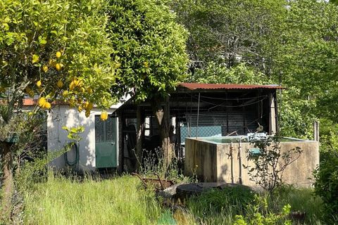 Villa i Arcos de Valdevez, Viana do Castelo, Arcos de Valdevez - € 175.000 | Ref: PTL-004-119 - foto 31