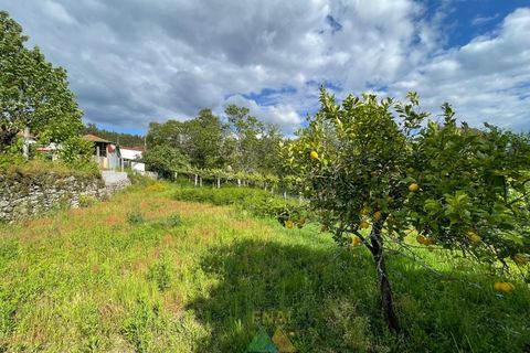 Villa i Arcos de Valdevez, Viana do Castelo, Arcos de Valdevez - € 175.000 | Ref: PTL-004-119 - foto 39