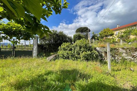 Villa i Arcos de Valdevez, Viana do Castelo, Arcos de Valdevez - € 175.000 | Ref: PTL-004-119 - foto 42