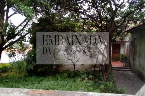 Villa i Sintra, Lisbon, Sintra - € 590.000 | Ref: J1148 - foto 9