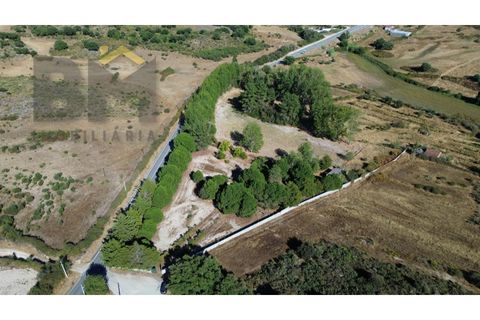Terra a Alcains, Castelo Branco, Alcains - € 95.000 | Ref: 4931 - foto 2