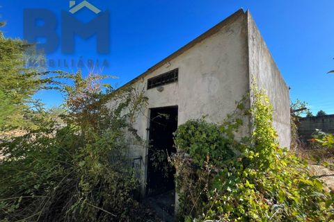 Terra a Alcains, Castelo Branco, Alcains - € 95.000 | Ref: 4931 - foto 3