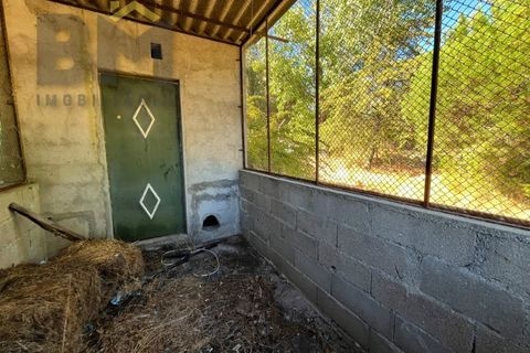 Terra a Alcains, Castelo Branco, Alcains - € 95.000 | Ref: 4931 - foto 6
