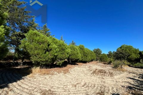 Terra a Alcains, Castelo Branco, Alcains - € 95.000 | Ref: 4931 - foto 8