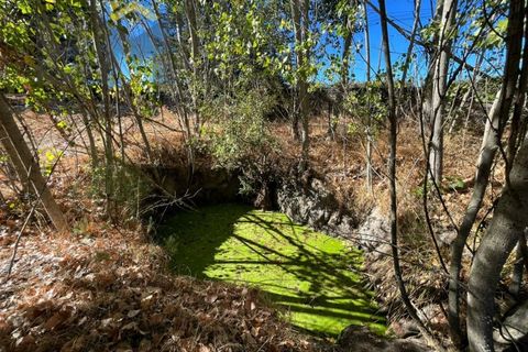 Terra a Alcains, Castelo Branco, Alcains - € 95.000 | Ref: 4931 - foto 11