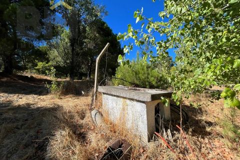 Terra a Alcains, Castelo Branco, Alcains - € 95.000 | Ref: 4931 - foto 13