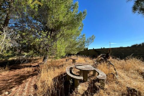 Terra a Alcains, Castelo Branco, Alcains - € 95.000 | Ref: 4931 - foto 15
