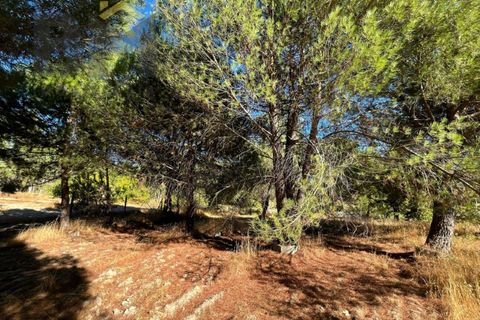 Terra a Alcains, Castelo Branco, Alcains - € 95.000 | Ref: 4931 - foto 19
