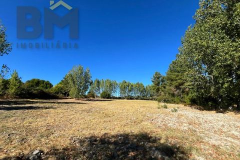 Terra a Alcains, Castelo Branco, Alcains - € 95.000 | Ref: 4931 - foto 21