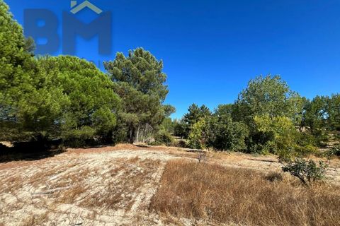 Terra a Alcains, Castelo Branco, Alcains - € 95.000 | Ref: 4931 - foto 22