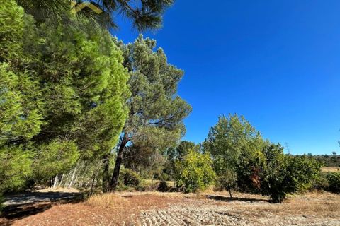Terra a Alcains, Castelo Branco, Alcains - € 95.000 | Ref: 4931 - foto 23