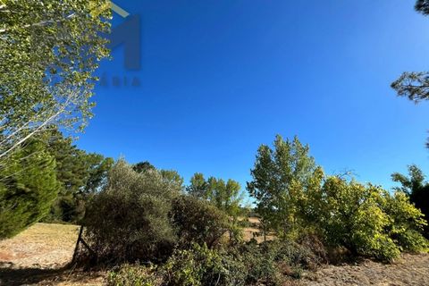 Terra a Alcains, Castelo Branco, Alcains - € 95.000 | Ref: 4931 - foto 24