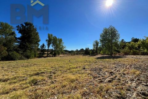 Terra a Alcains, Castelo Branco, Alcains - € 95.000 | Ref: 4931 - foto 25