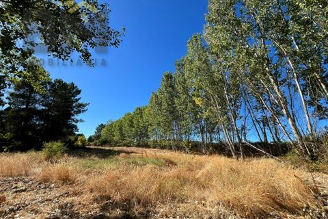 Terra a Alcains, Castelo Branco, Alcains - € 95.000 | Ref: 4931 - foto 26