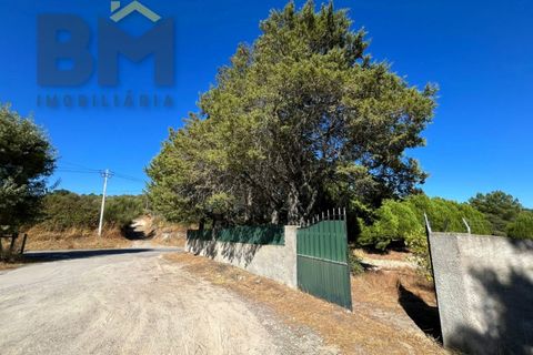 Terra a Alcains, Castelo Branco, Alcains - € 95.000 | Ref: 4931 - foto 27