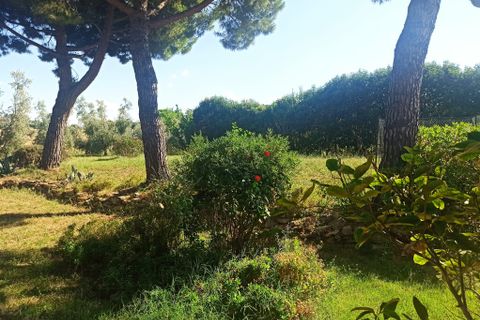 Farm hus i Montecosaro, Macerata, Montecosaro - € 650.000 | Ref: MC0-44919 - foto 5