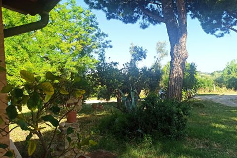 Farm hus i Montecosaro, Macerata, Montecosaro - € 650.000 | Ref: MC0-44919 - foto 11