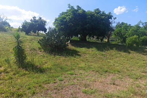 Farm hus i Montecosaro, Macerata, Montecosaro - € 650.000 | Ref: MC0-44919 - foto 12
