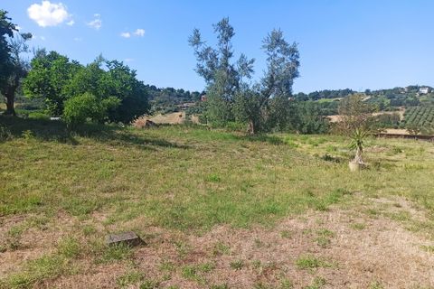 Farm hus i Montecosaro, Macerata, Montecosaro - € 650.000 | Ref: MC0-44919 - foto 18