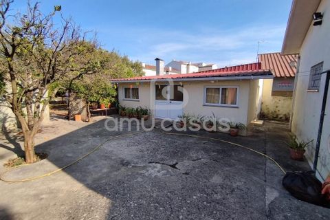Byhus i Estarreja, Aveiro, Estarreja - € 340.000 | Ref: PP09092025 - foto 32