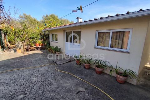 Byhus i Estarreja, Aveiro, Estarreja - € 340.000 | Ref: PP09092025 - foto 33