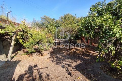 Byhus i Estarreja, Aveiro, Estarreja - € 340.000 | Ref: PP09092025 - foto 37