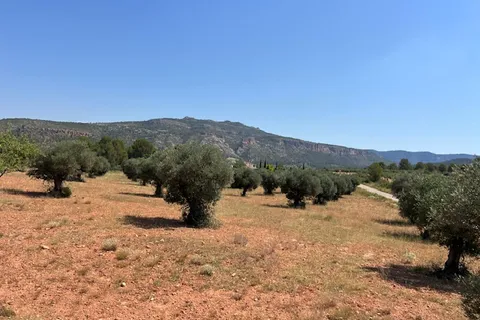 Finca i Jarafuel, Valencia, Jarafuel - € 159.500 | Ref: S-1576818 - foto 4