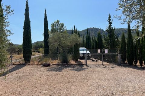 Finca i Jarafuel, Valencia, Jarafuel - € 159.500 | Ref: S-1576818 - foto 16
