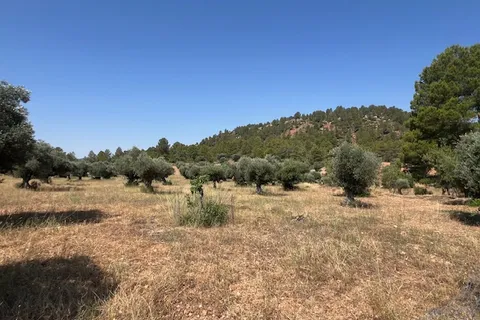 Finca i Jarafuel, Valencia, Jarafuel - € 159.500 | Ref: S-1576818 - foto 18
