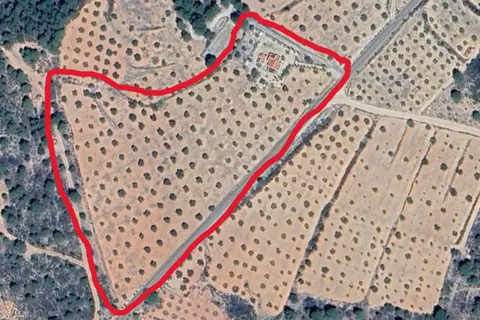 Finca i Jarafuel, Valencia, Jarafuel - € 159.500 | Ref: S-1576818 - foto 19