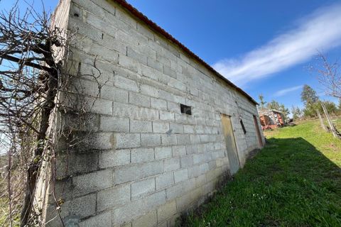 Terra a Seia, Guarda, Seia - € 37.500 | Ref: 382250047 - foto 2