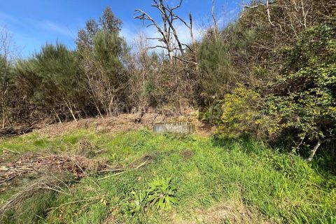 Terra a Seia, Guarda, Seia - € 37.500 | Ref: 382250047 - foto 3