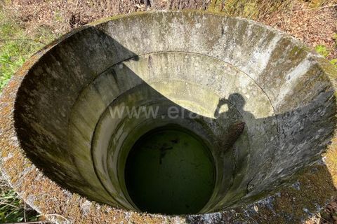 Terra a Seia, Guarda, Seia - € 37.500 | Ref: 382250047 - foto 4