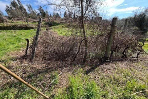 Terra a Seia, Guarda, Seia - € 37.500 | Ref: 382250047 - foto 6