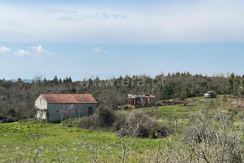 Terra a Seia, Guarda, Seia - € 37.500 | Ref: 382250047 - foto 7