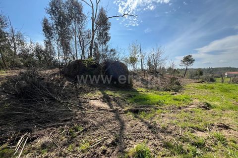 Terra a Seia, Guarda, Seia - € 37.500 | Ref: 382250047 - foto 8