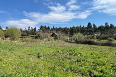 Terra a Seia, Guarda, Seia - € 37.500 | Ref: 382250047 - foto 9