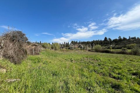 Terra a Seia, Guarda, Seia - € 37.500 | Ref: 382250047 - foto 10