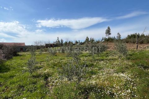 Terra a Seia, Guarda, Seia - € 37.500 | Ref: 382250047 - foto 11