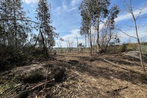 Terra a Seia, Guarda, Seia - € 37.500 | Ref: 382250047 - foto 13