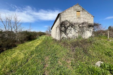 Terra a Seia, Guarda, Seia - € 37.500 | Ref: 382250047 - foto 14