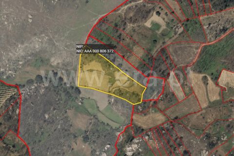 Terra a Seia, Guarda, Seia - € 37.500 | Ref: 382250047 - foto 15