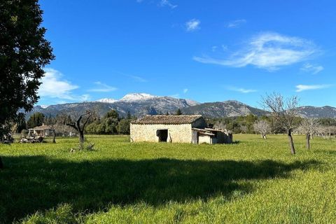Tomt i Selva, Mallorca, Selva - € 479 000 | Ref: 33130001_GC/11003 - foto 16