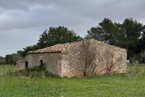 Tomt i Selva, Mallorca, Selva - € 479 000 | Ref: 33130001_GC/11003 - foto 18
